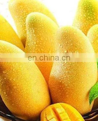 NEW TYPE Fruit Skin Peeling Machine/mango Peeling Machine With Advanced Design photo-3
