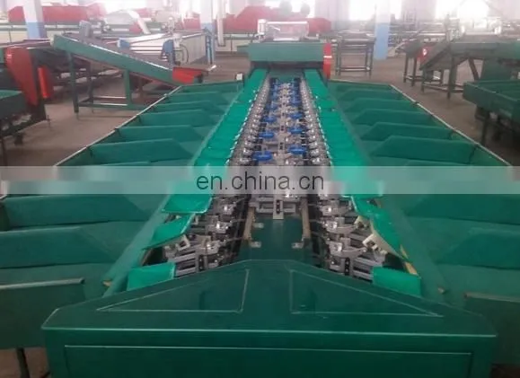 High Capacity Mango Washing Grading Machine photo-2