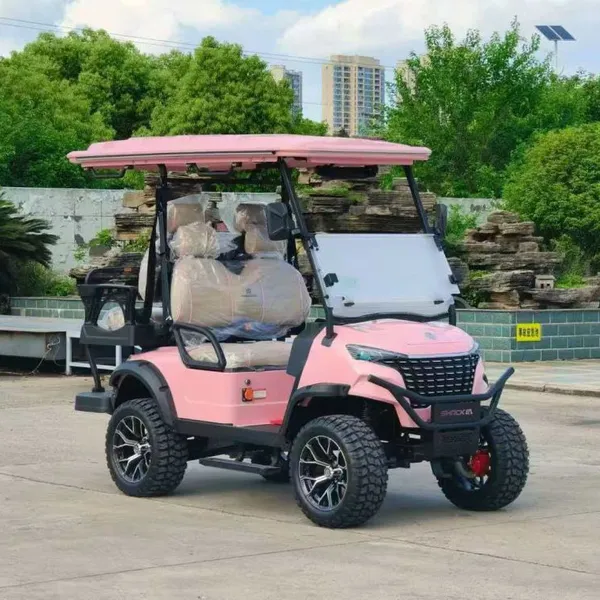 2/4/6-Passenger Electric Golf Cart – LSV Compliant, 25 MPH, FMVSS 500 Certified, Ideal for Neighborhoods & Communities photo-4