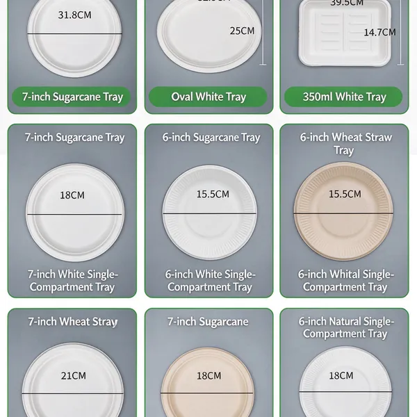 12 Inch Large Serving Plate, Unbleached Sugarcane Pulp, Compostable, Greaseproof, Sturdy For Buffet Serving photo-5
