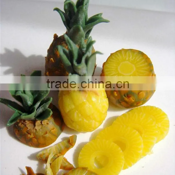 CANNED SLICED PINEAPPLE 20OZ