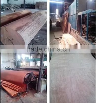0.3mm Good Price Natural Veneer Rotary Cut Gurjan Face/keruing Veneer Face