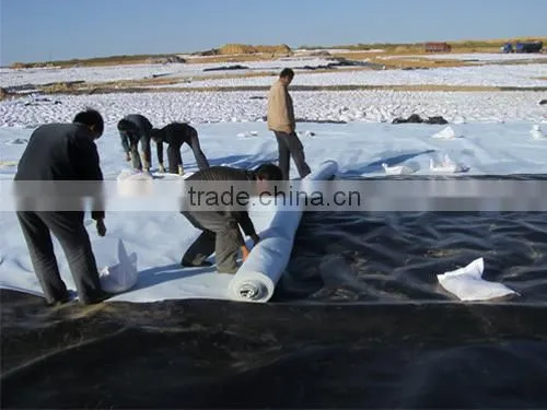 HDPE Geomembrane 0.25mm for Landfill Projects photo-5