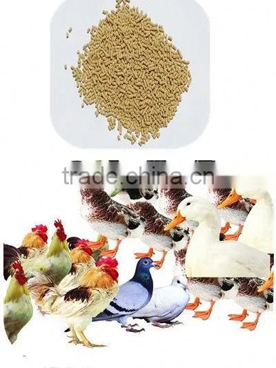 Small Capacity Farm Use Flat Die Pelletizer for Wood Sawdust photo-6