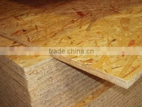 Edge Gold OSB photo-3