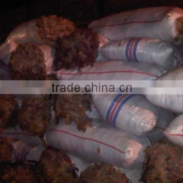 SeaWeed Please Contact me for Best Quality and Price