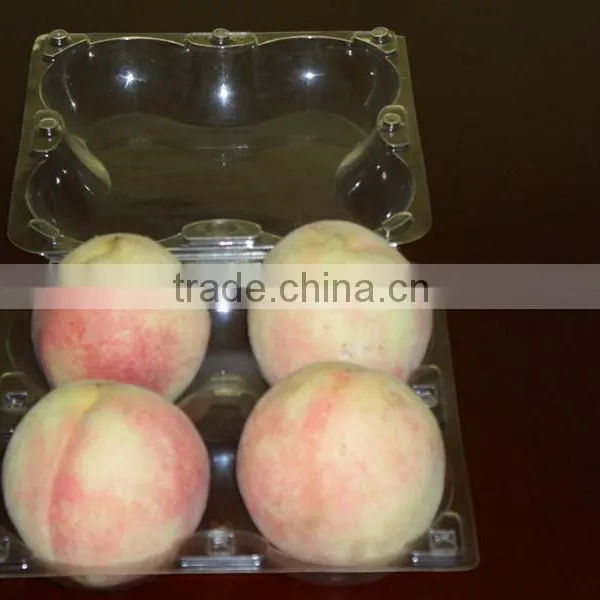 Quality OEM Plastic Transparent Small Box