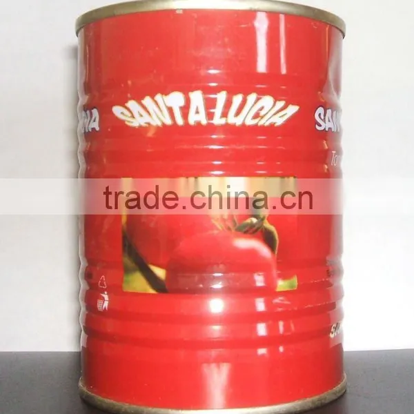 Different Brix Bulk Good Taste Fresh Tomato Taste photo-4