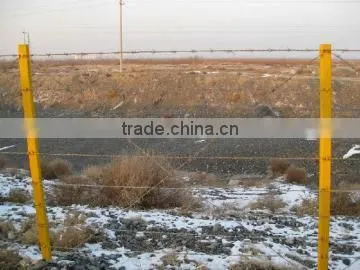 Anping Factory Barbed Wire/razor Barbed Wire photo-5