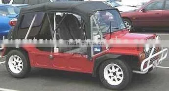 sand beach buggy