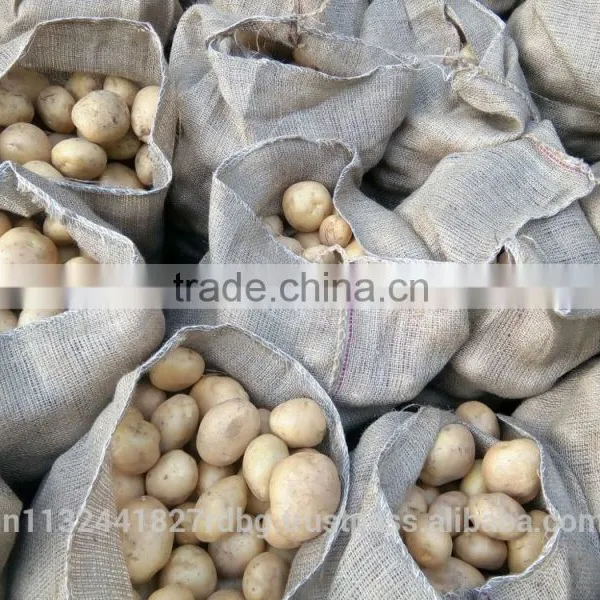 Indian Fresh Yellow , White Potatoes photo-2