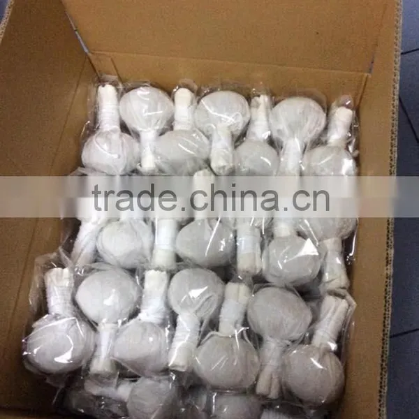 Thai Herbal Massage Ball photo-4