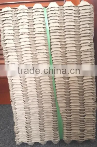 Tapioca Chips photo-2