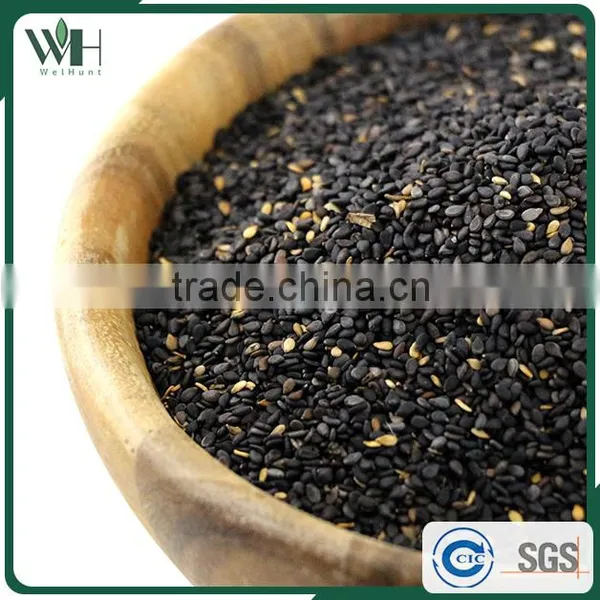 Reputable Suppliers of Black Sesame Yield photo-6