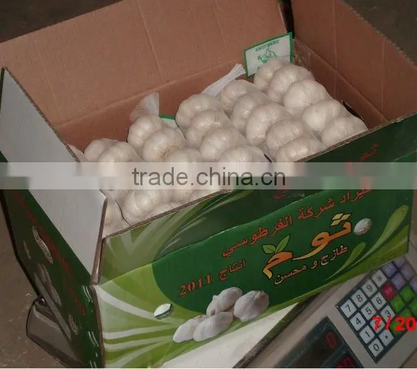 Double Wall Corrugated Carton (for Garlic)