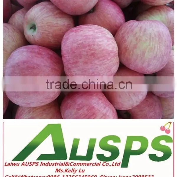 Chinese Fresh Fuji Apple photo-2