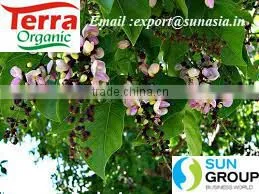 Pure Pongamia Oil photo-2