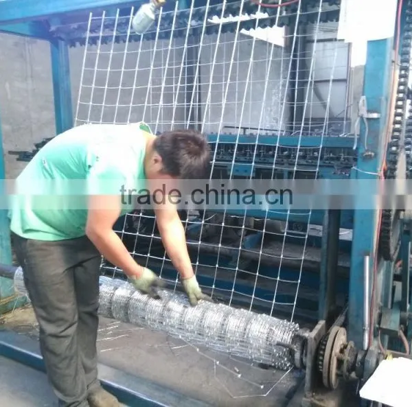 2.5/3.0mm High Quality Hot Dipped Galvanized Field Fence/sheep photo-2