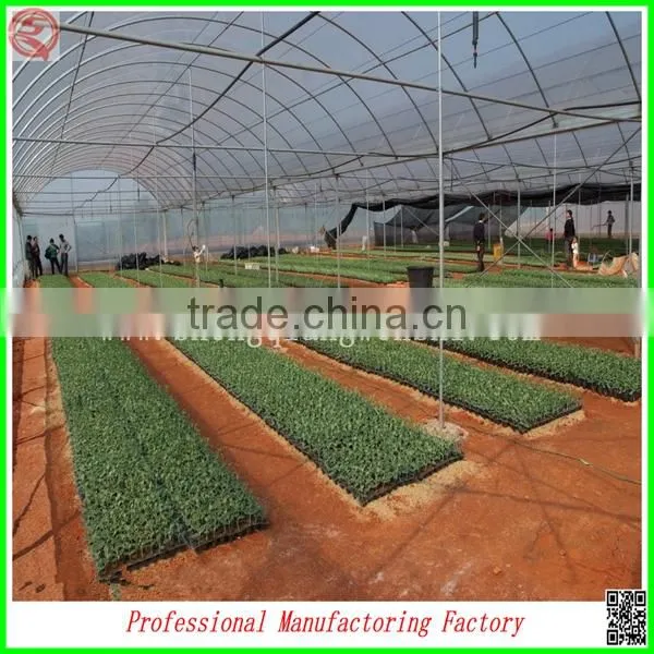 Best Selling High Quality SQ-9.6 Glass Greenhouse With Beautiful Appearance photo-6
