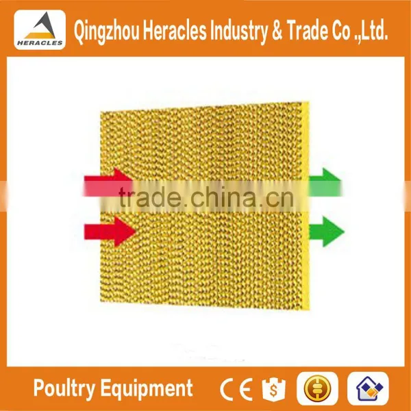 China Trade Assurance Low Cost Equipment Poultry Feeders Drinkers photo-4