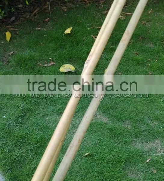 Thick Wall and Strong Tonkin Bamboo Canes for Supporting Plants at Cheap Price photo-2