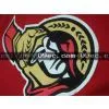 2010-NHL-Size 48-54-> #11 Alfredsson Ottawa Senators Red NHL Jersey photo-2