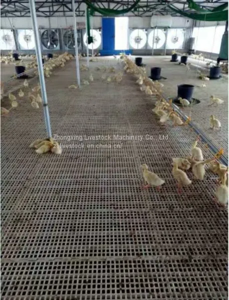 Plastic Slat Floor for Poultry