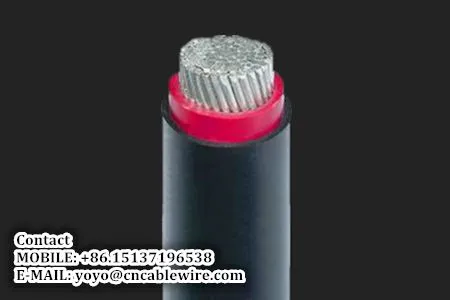 0.6/1KV Aluminum XLPE Power Cable photo-2