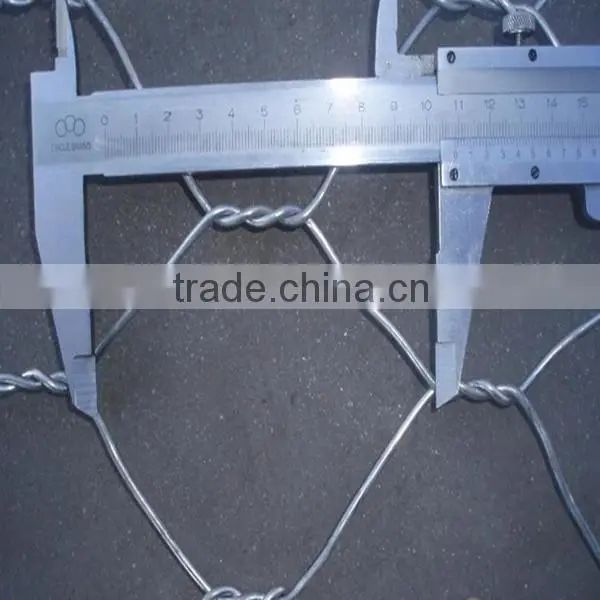 Gold Supplier Hexagonal Wire Netting(ISO and SGS) photo-4