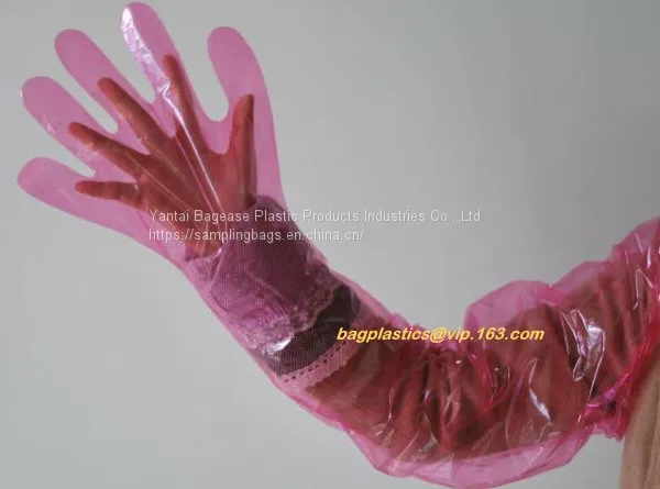 LDPE Gloves,PE Disposable Gloves/polythene Disposable Gloves,HDPE/LDPE Disposable PE Glove,disposable Plastic PE Materia photo-4