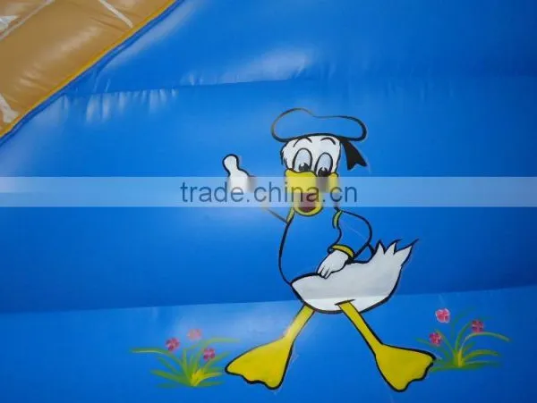 Popular Giant Inflatable Slide Inflatable Water Slide for Adult