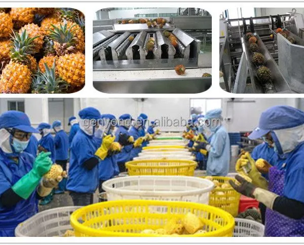 Industrial Fruit Filtering Food Industry Fruit & Vegetable Processing Line photo-5