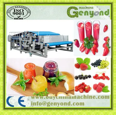 Industrial Cold Press Juicer/apple Juice Belt Press photo-2