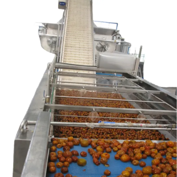 Turnkey Project Date Paste Production Line photo-5