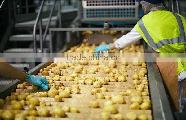 Multinational New Automatic Compound Potato Chips Processing Line photo-2