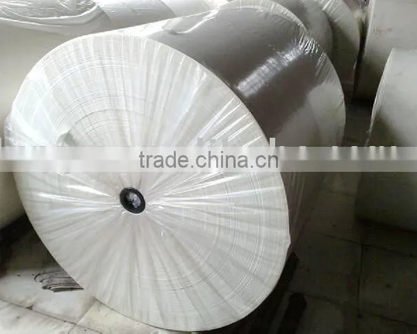 Polyester Mat