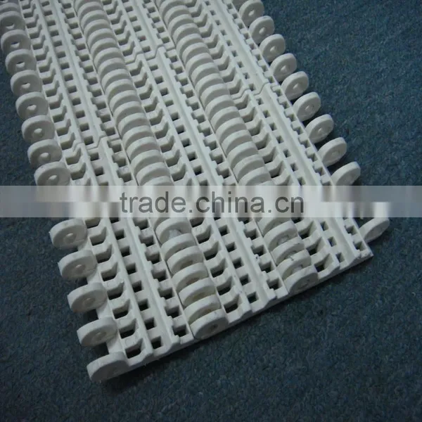 Engineering Standard Plastic Pa6 Conveyor Belt Pom Conveyor Chain photo-3