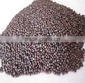 Micro Mustard seeds
