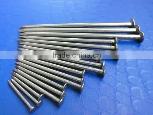 50 Common Iron Nails