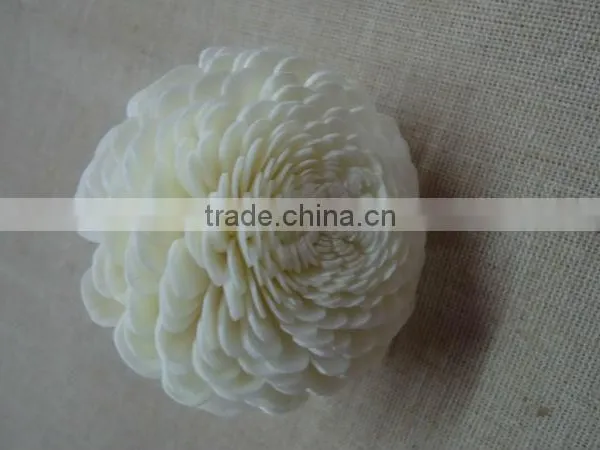Sola Flower photo-4