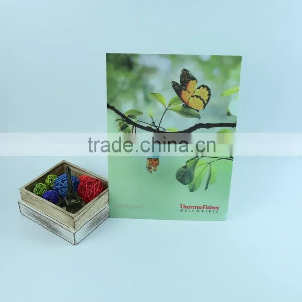 Hot Sales Clear pp Plastic Business a4 File Holder L Shape File Folder PP Expanding Files photo-2