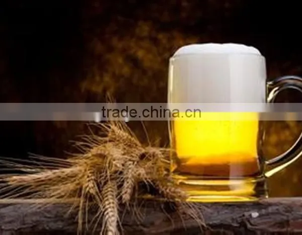 Ruijia Hotel Draft 100L Beer Machine Brewery Machinery for Sale photo-6