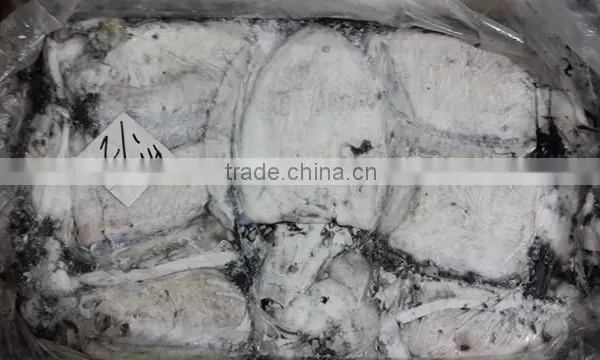 Frozen Cuttle Fish photo-3