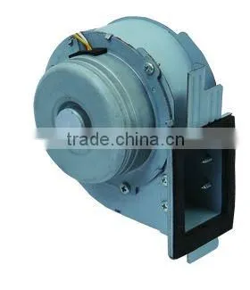 DC Brushless Motor(Lepuda Motor)