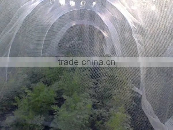 Supply uv Treated Transparent HDPE Anti Insect Net, Aphid Control Insect Screen photo-3