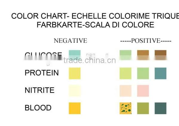 Pet Urine Test Strips 4 Parameter(Glucose,Protein,Nitrite,Blood) photo-3