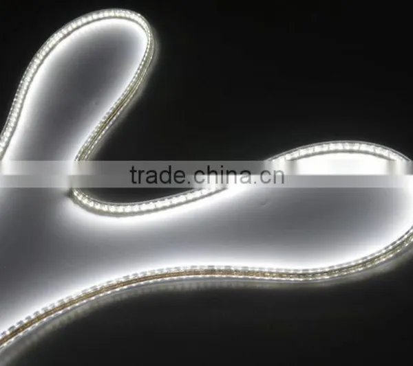 Outdoor Waterproof 220V AC Flex IP65 Tube Around 5050 Led Strip photo-4