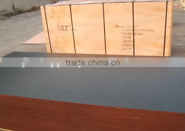Outdoor Waterproof Plywood for Construction photo-6
