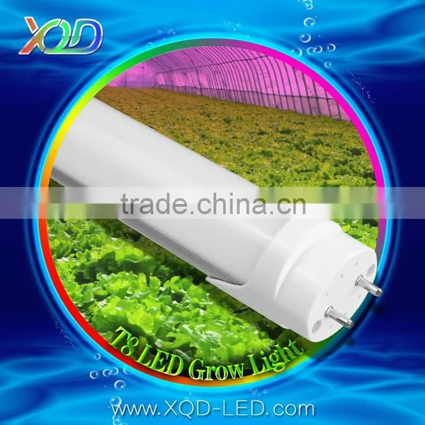 Hydroponic Grow Light Induction Full Spectrum Grow Light