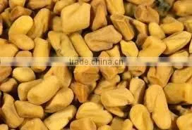 Fenugreek Seed